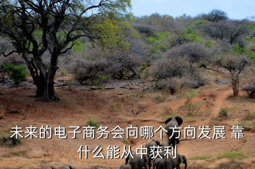 未來電商什么會掙錢，未來的電子商務會向哪個方向發(fā)展 靠什么能從中獲利