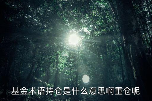 etf持倉是什么意思，基金術(shù)語持倉是什么意思啊重倉呢