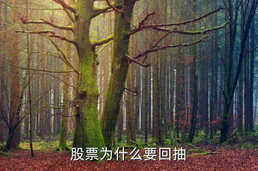 為什么回抽確認(rèn)，股價突破重要阻力位后為什么一般都要回抽確認(rèn)