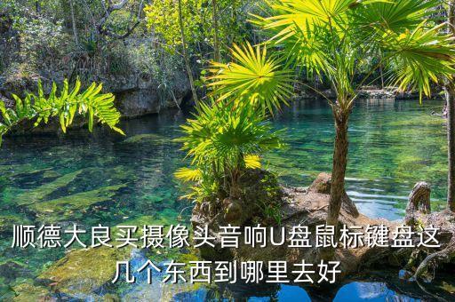 宜家為什么不怕天貓，順德大良買(mǎi)攝像頭音響U盤(pán)鼠標(biāo)鍵盤(pán)這幾個(gè)東西到哪里去好