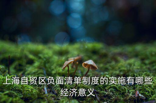 上海自貿(mào)區(qū)負(fù)面清單制度的實施有哪些經(jīng)濟意義