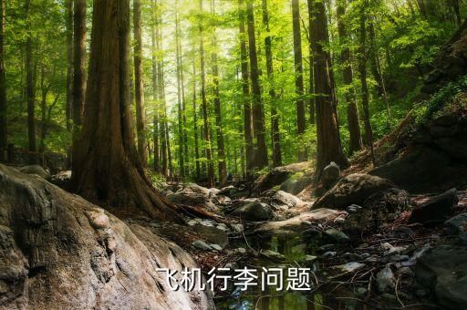 航空公司可以拒載什么傷人，憑什么飛機(jī)可以拒載