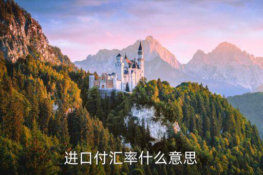 進口付匯是什么意思，進口付匯是什么