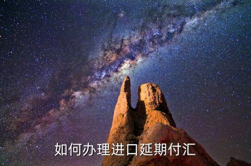 什么是進口付匯，什么是跨境貿(mào)易人民幣結(jié)算啊