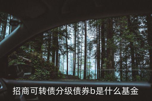轉債b級是什么，招商可轉債分級債券b 場內買入 場外賣出什么意思