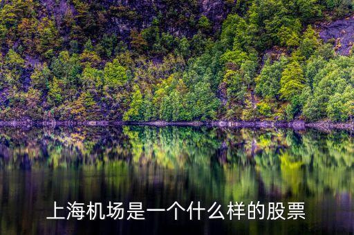 上海機(jī)場(chǎng)股票屬于什么股票，上海機(jī)場(chǎng)屬于什么行業(yè)的股票
