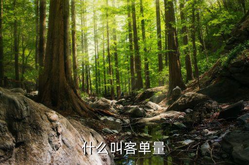 客戶規(guī)模包括什么，用戶規(guī)模什么意思與用戶數(shù)量有什么區(qū)別