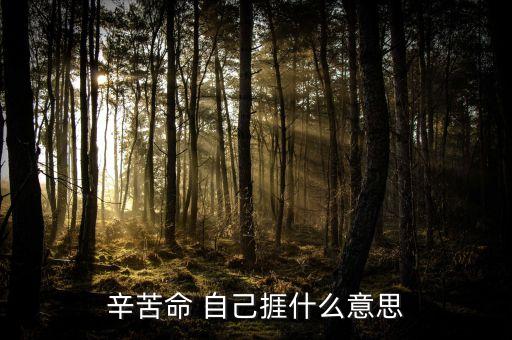 苦捱是什么意思，請(qǐng)問苦啷是什么意思