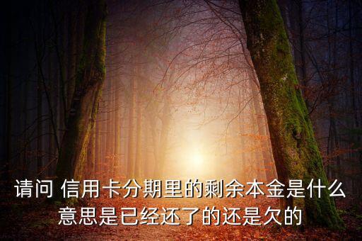 分期付息的本金是什么，請問 信用卡分期里的剩余本金是什么意思是已經(jīng)還了的還是欠的