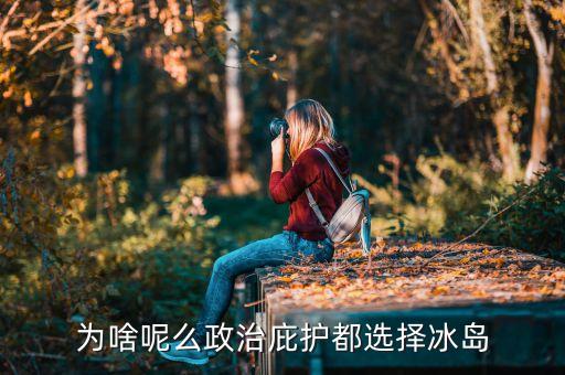 為什么其它國(guó)家愿幫冰島度危機(jī)，為啥呢么政治庇護(hù)都選擇冰島