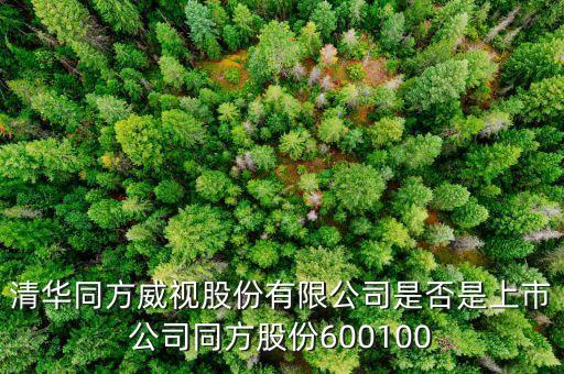 威視股份什么時(shí)候上市，威創(chuàng)股份什么時(shí)候上市