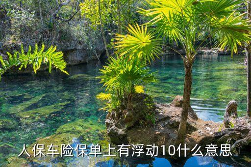 人保中保險(xiǎn)費(fèi)率浮動是什么，如圖我買的人保車險(xiǎn)費(fèi)率浮動一欄顯示的幾個(gè)負(fù)數(shù)是什么意思