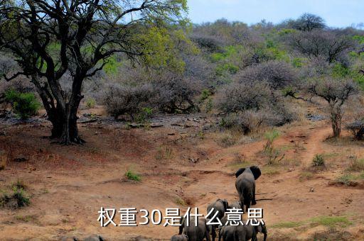 權(quán)重比例是什么意思，權(quán)重30是什么意思