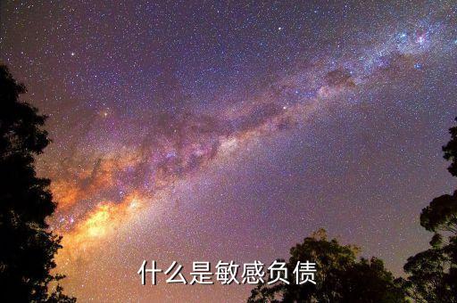 什么是直接負債，什么是直接還款