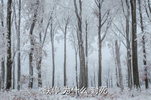 為什么跌停不封死，跌停 為什么 封死
