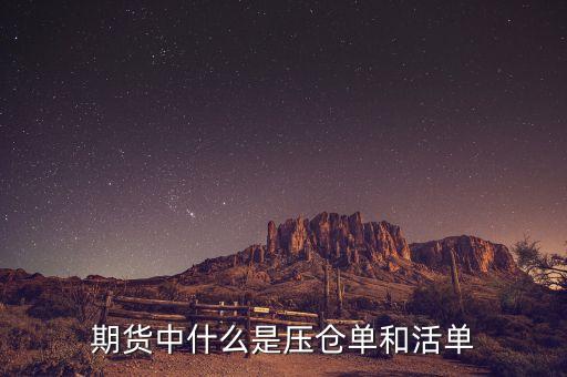 上海期貨交易所標(biāo)準(zhǔn)倉單是什么，期貨中倉單是什么