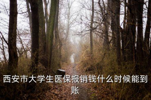 大學生醫(yī)保什么時候到賬，大學生武漢醫(yī)保報銷費什么時候到帳啊