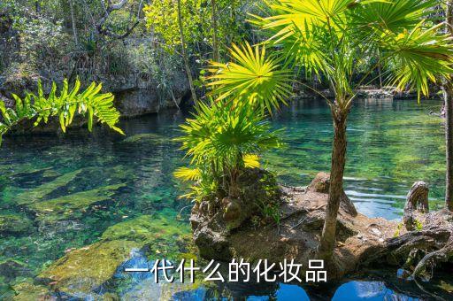 化妝品代領(lǐng)什么意思，代理化妝品怎么回事是怎么賺錢(qián)的