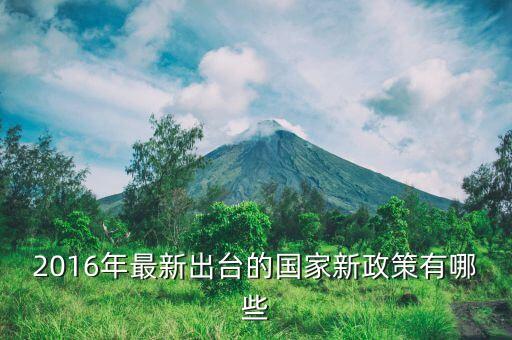 2016年什么新政策，2016年國(guó)家有什么新政策