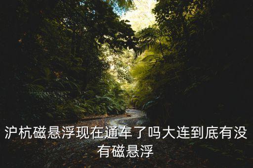 滬杭磁懸浮現在通車了嗎大連到底有沒有磁懸浮