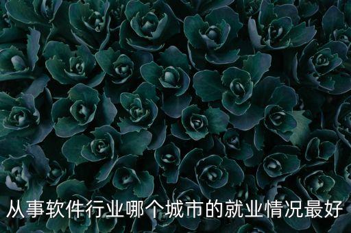 從事軟件行業(yè)哪個城市的就業(yè)情況最好