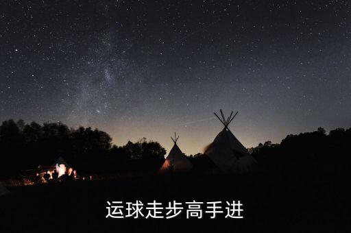 德隆治下的湘火炬戰(zhàn)略不包括什么，德隆治下的湘火炬戰(zhàn)略包括有哪些