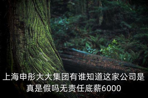 申彤大大集團(tuán)賺的什么錢發(fā)工資，上海申彤大大集團(tuán)有誰知道這家公司是真是假嗎無責(zé)任底薪6000