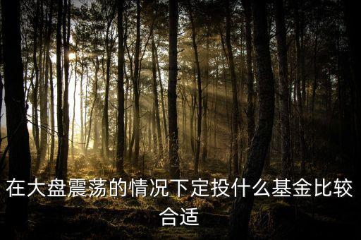 大盤調整買什么基金好，在大盤震蕩的情況下定投什么基金比較合適