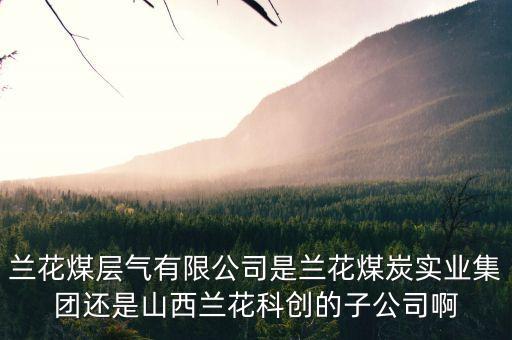 山西蘭花有什么煤層氣公司，山西蘭花煤炭實(shí)業(yè)集團(tuán)有限公司
