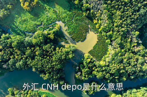 外匯de30是什么，新手一枚想知道TigerWit老虎外匯中的us30是什么意思