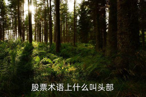 什么是股票頭部，股票術語上什么叫頭部