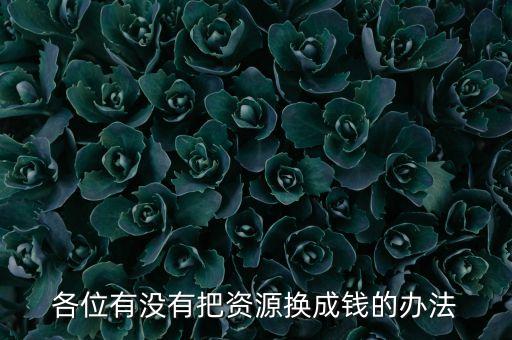 通過什么將資源轉(zhuǎn)化為財富，各位有沒有把資源換成錢的辦法