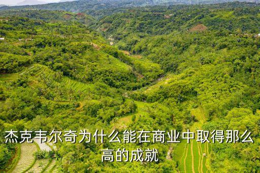 杰克韋爾奇為什么沒(méi)在中國(guó)成功，杰克韋爾奇為什么能在商業(yè)中取得那么高的成就