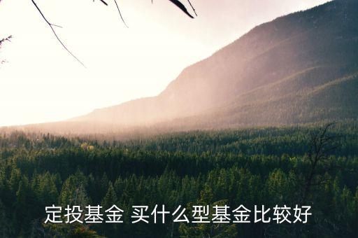 定投基金買(mǎi)什么最好，定投什么基金好