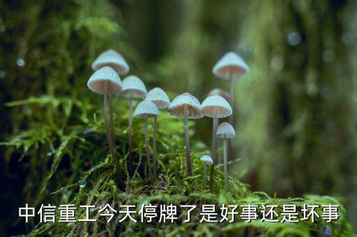 中信重工什么時候復(fù)牌，中信重工今天停牌了是好事還是壞事