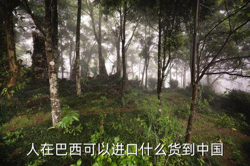 中國從巴西進口什么，中國向巴西進口哪些東西