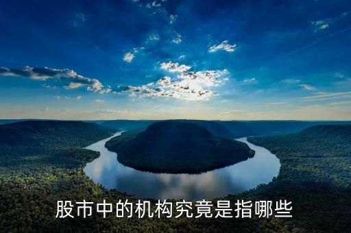 股票中的機構(gòu)指什么，股市里的機構(gòu)指的是什么