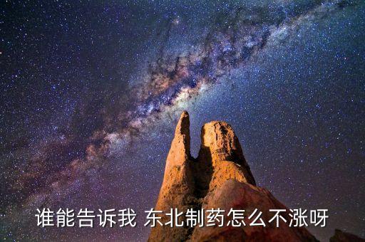 東北制藥為什么不漲，002251為什么不漲是不是公司出問題了