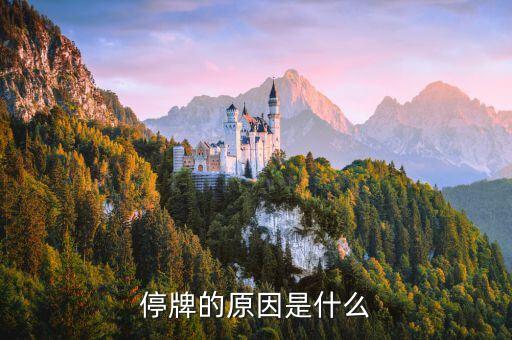 中國巨石為什么停牌，000009今天為何停牌
