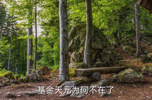 基金天元為什么停牌，基金天元為何不在了