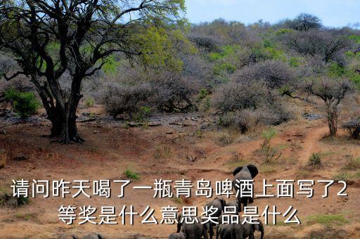 請(qǐng)問昨天喝了一瓶青島啤酒上面寫了2等獎(jiǎng)是什么意思獎(jiǎng)品是什么