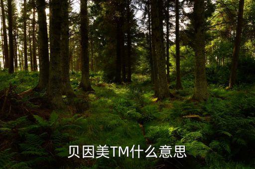 貝因美尾盤(pán)1多手什么意思，貝因美TM什么意思