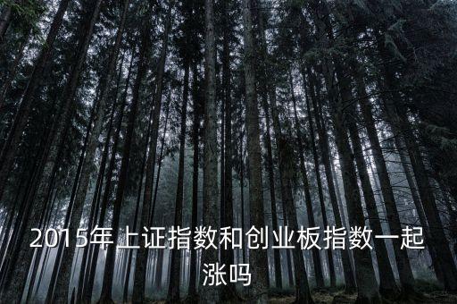 2015年創(chuàng)業(yè)板為什么漲，2015年上證指數(shù)和創(chuàng)業(yè)板指數(shù)一起漲嗎