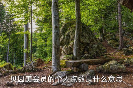 貝因美會員的個人點(diǎn)數(shù)是什么意思