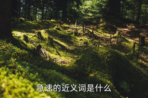急速的近義詞什么，急速的近義詞