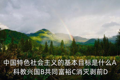 基準目標是什么，我國實施社會保障的基本目標是什么