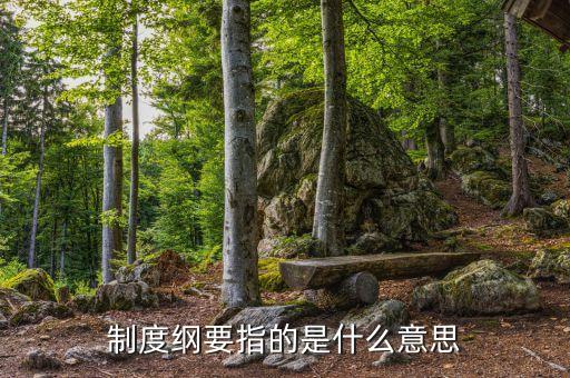 什么是公司綱要，制度綱要指的是什么意思