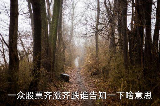 股票量?jī)r(jià)齊跌意味著什么，這幾天大盤量?jī)r(jià)齊跌從技術(shù)角度說(shuō)明什么