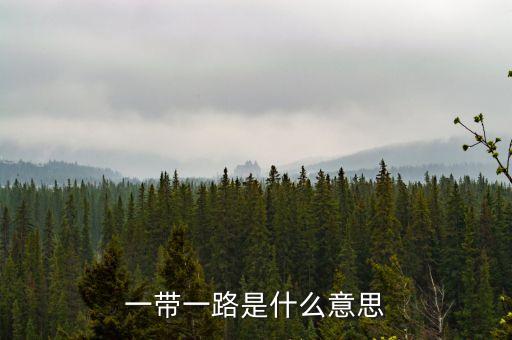 一帶一路指什么，一帶一路指什么意思