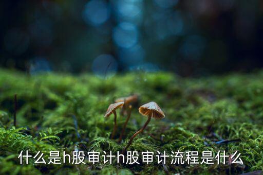 H股審計是什么意思，香港上市公司的審計與內(nèi)地審計有什么區(qū)別